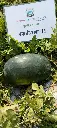 IMG_20240517_145144.webp