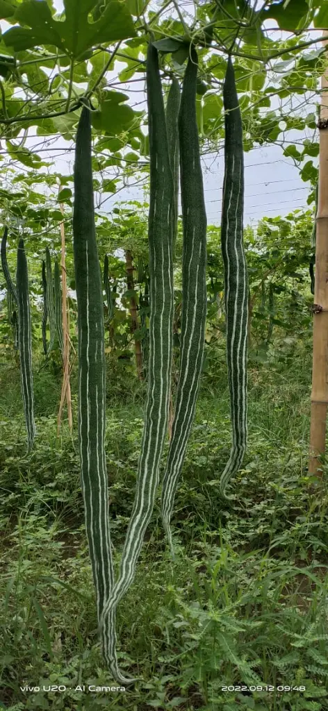 WhatsApp Image 2024-05-08 at 19.12.08_409c0418.webp