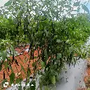 WhatsApp Image 2025-06-22 at 10.16.01_920a7250.webp