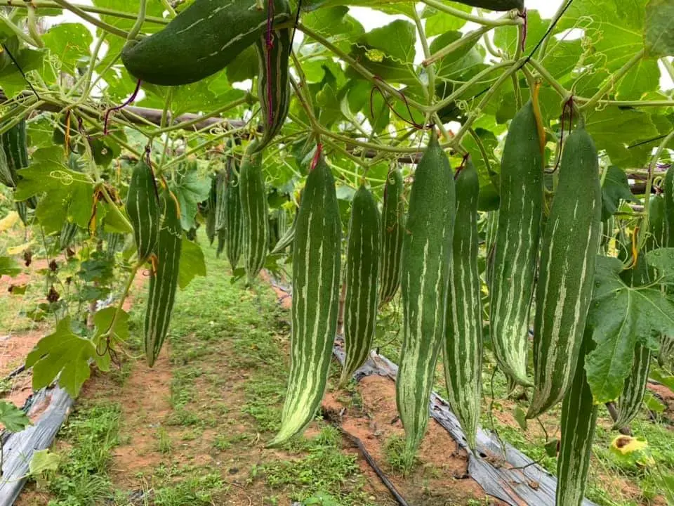 WhatsApp Image 2024-03-19 at 16.43.58_82cf1c80.webp