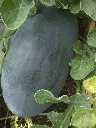 IMG-20180608-WA0014.webp