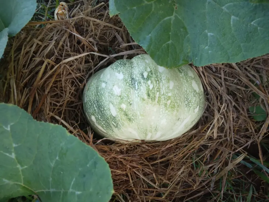 WhatsApp Image 2023-11-30 at 18.37.35_c8c4b681.webp