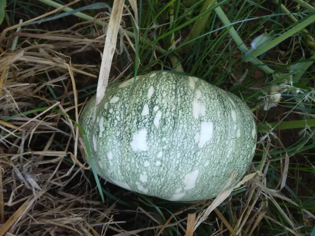 WhatsApp Image 2023-11-30 at 18.37.36_8677df61.webp