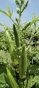 IMG_20240918_115812.webp