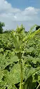 IMG_20240918_115836.webp