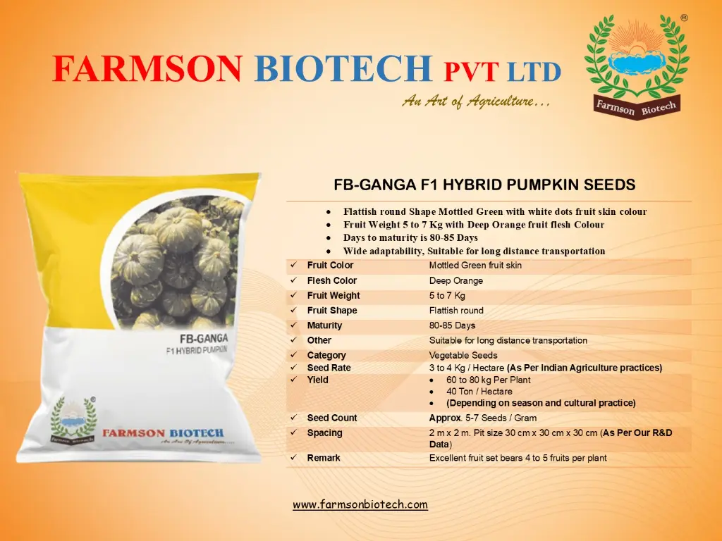 Ganga.webp