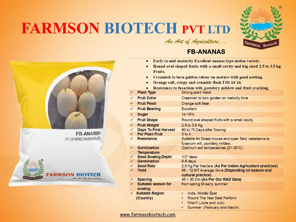 ANANSH.webp