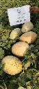 IMG_20240517_164020.webp