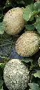 IMG_20240517_164934.webp