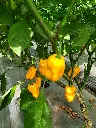 20211210_120528.webp