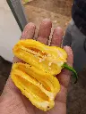 20211210_121112.webp