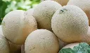 Picture1.webp