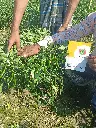 IMG20221102103034.webp