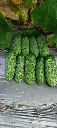 IMG_20260809_110004_022@791819296.webp