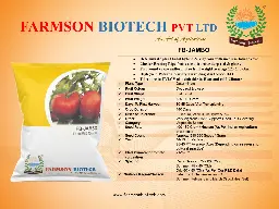 Jambo.webp