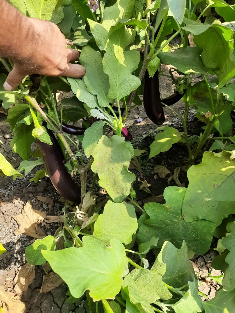 WhatsApp Image 2022-06-08 at 12.09.40 PM.webp