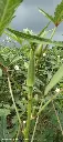 IMG-20250127-WA0055.webp