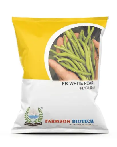 FB-WHITE PEARL FRENCH BEAN SEEDS (500 Gm)