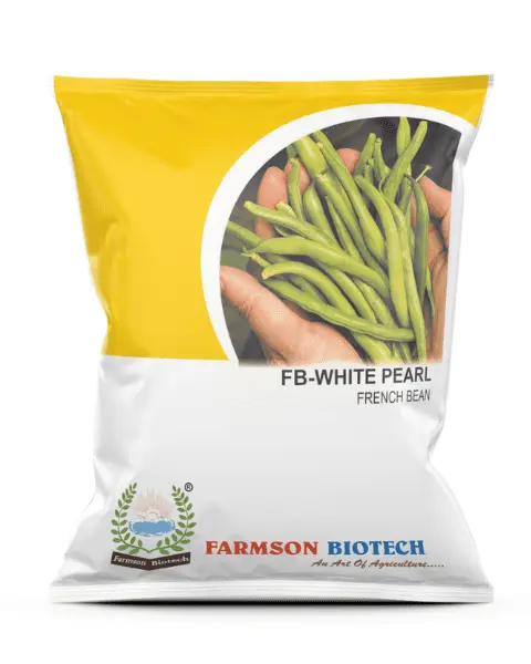 FB-WHITE PEARL FRENCH BEAN SEEDS