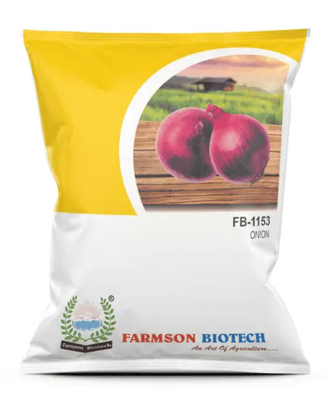 FB-1153 ONION SEEDS (DARK RED)