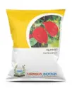 FB-2121 RED HABANERO CHILLI SEEDS (VERY HOT)