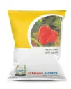 FB-2122 ORANGE HABANERO CHILLI SEEDS (VERY HOT) 