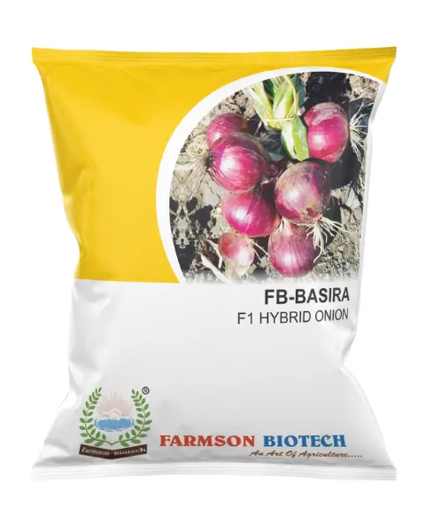 FB-BASIRA F1 HYBRID ONION SEEDS (DARK RED)