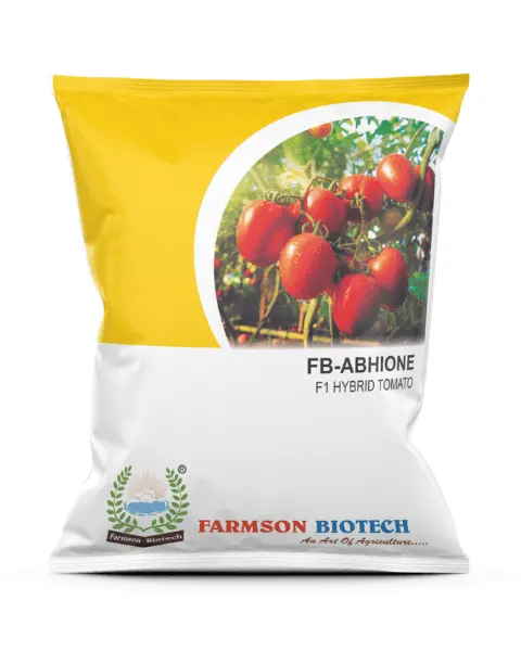 FSB-ABHIONE F1 HYBRID TOMATO SEEDS (OVAL AND RED)