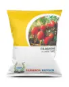 FSB-ABHIONE F1 HYBRID TOMATO SEEDS (OVAL AND RED)