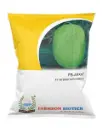 FB-AKKAY F1 HY WATERMELON SEEDS