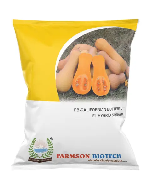 FB-CALIFORNIAN BUTTERNUT F1 HYBRID SQUASH SEEDS