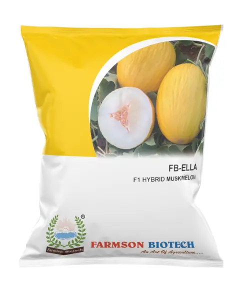 FB-ELLA F1 HYBRID MUSKMELON SEEDS 