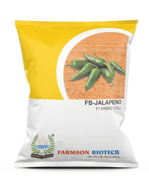 FB-JALAPENO F1 HYBRID CHILLI SEEDS (10 Gm)