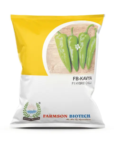 FB-KAVYA F1 HYBRID CHILLI SEEDS (10 Gm)