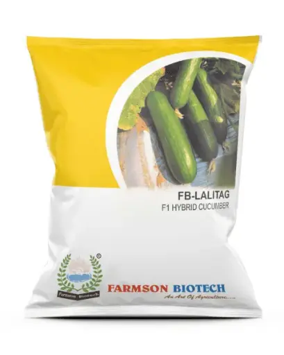 FB-LALITAG F1 HYBRID CUCUMBER SEEDS