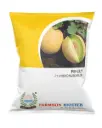 FB-LILY F1 HYBRID MUSKMELON SEEDS