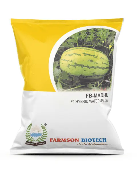 FB-MADHU F1 HYBRID WATERMELON SEEDS (25 Gm)