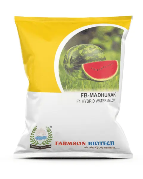 FB-MADHURAK F1 HYBRID WATERMELON SEEDS (25 Gm)