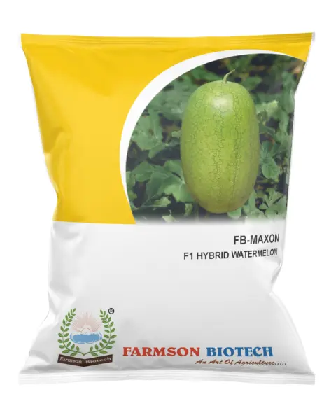 FB-MAXON F1 HYBRID WATERMELON SEEDS
