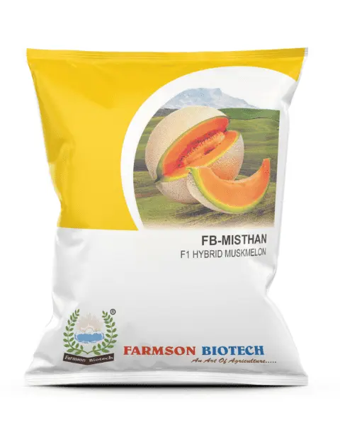 FB-MISTHAN F1 HYBRID MUSKMELON SEEDS (25 Gm)