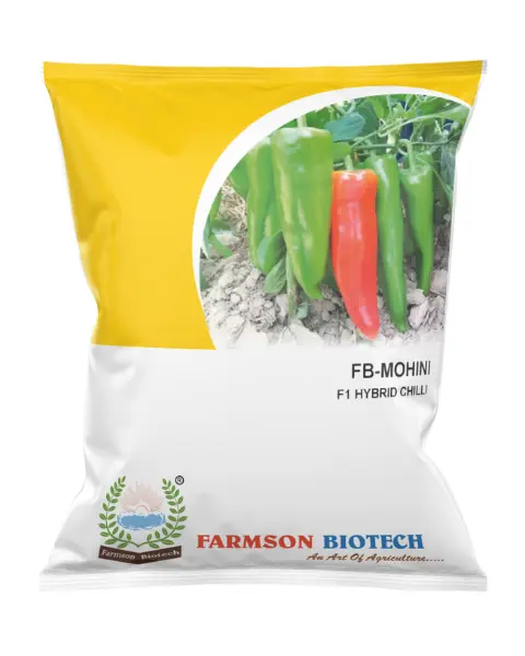 FB-MOHINI F1 HYBRID CHILLI SEEDS (10 Gm)