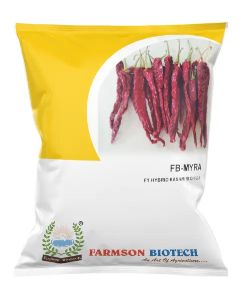 FB-MAYRA (KASHMIRI CHILLI) F1 HYBRID CHILLI SEEDS (1000 Seeds)