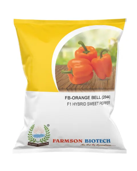FB-ORANGE BELL (2044) F1 HYBRID SWEET PEPPER SEEDS 