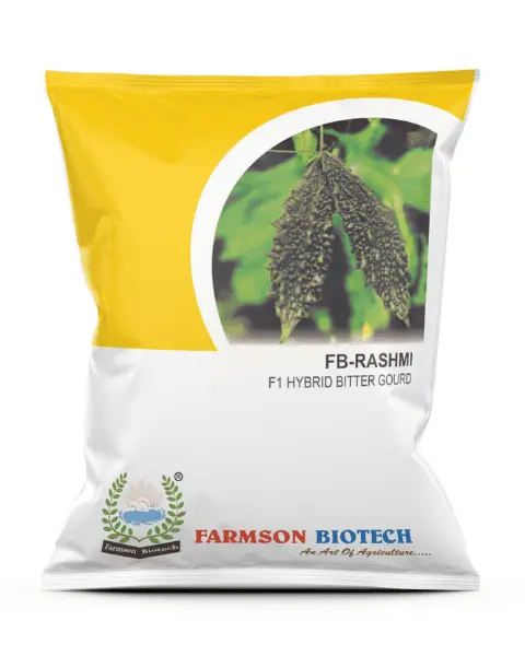 FB-RASHMI F1 HYBRID BITTER GOURD SEEDS  (25 Gm)