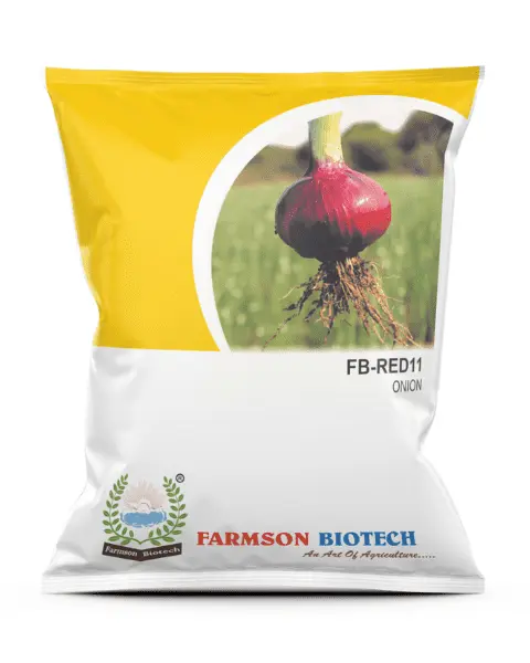 FB-RED 11 ONION SEEDS (RED OR PINKISH RED) (500 Gm)