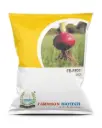 FB-RED 11 ONION SEEDS (RED OR PINKISH RED)