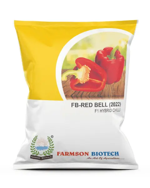 FB-RED BELL (2022) F1 HYBRID SWEET PEPPER SEEDS (10 Gm)