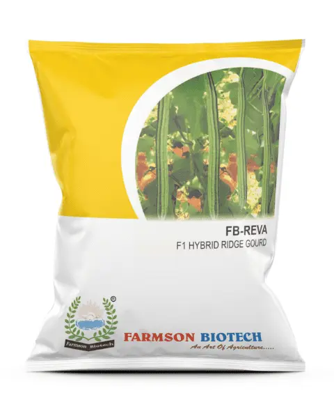 FB-REVA F1 HYBRID RIDGE GOURD SEEDS (25 Gm)