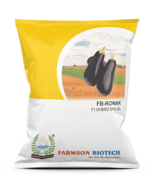 FB-RONAK F1 HYBRID BRINJAL (10 Gm)