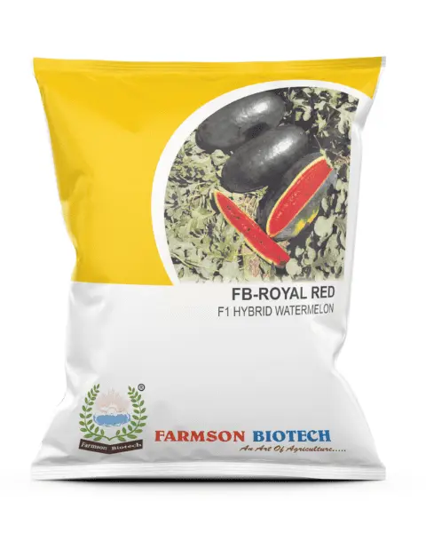 FB-ROYAL RED F1 HYBRID WATERMELON SEEDS (25 Gm)